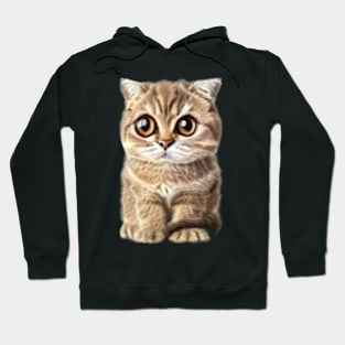 content aware scale cat Hoodie